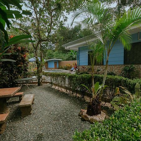 Oasis Diverse Adult Retreat Quepos Εξωτερικό φωτογραφία